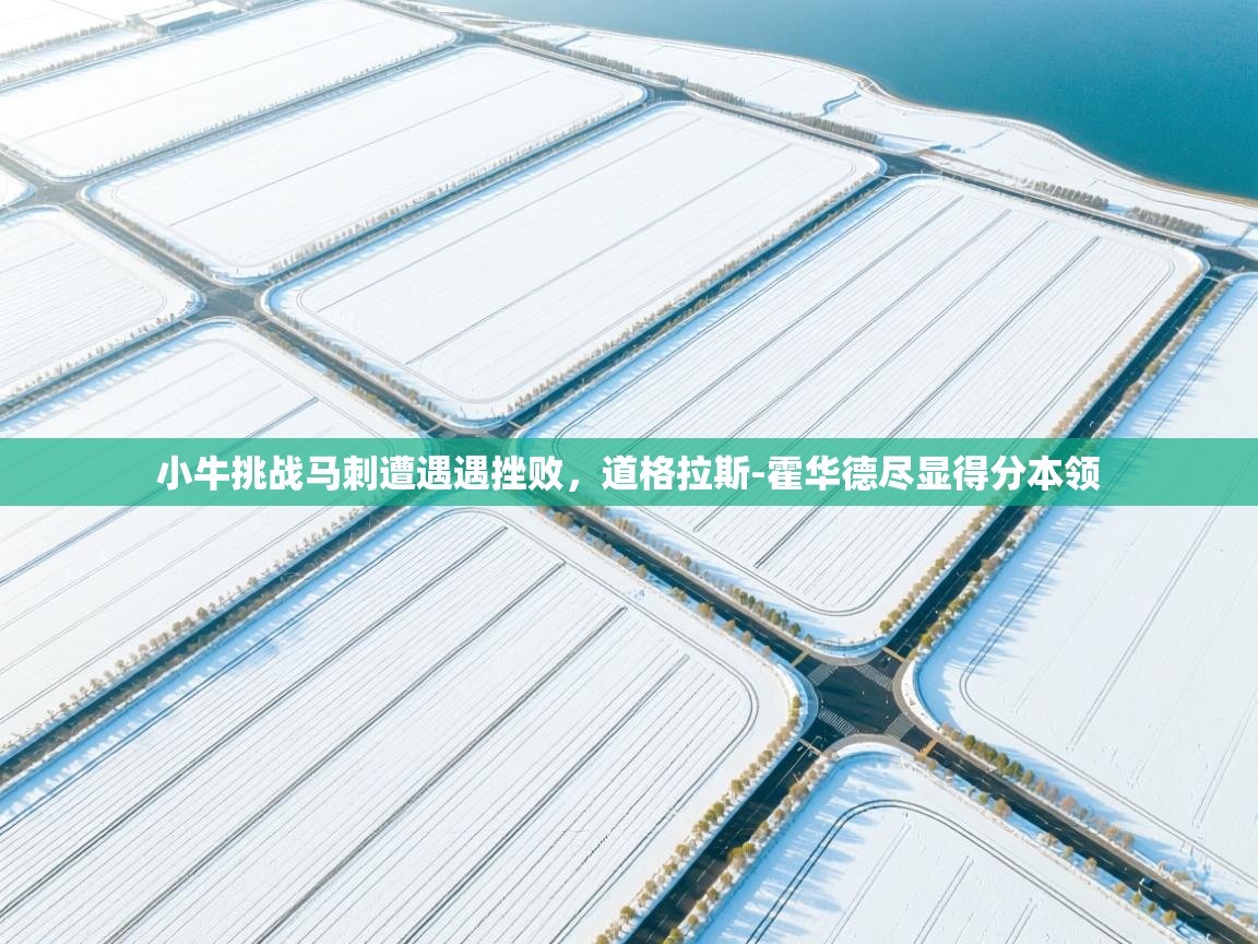 小牛挑战马刺遭遇遇挫败,道格拉斯-霍华德尽显得分本领 第2张