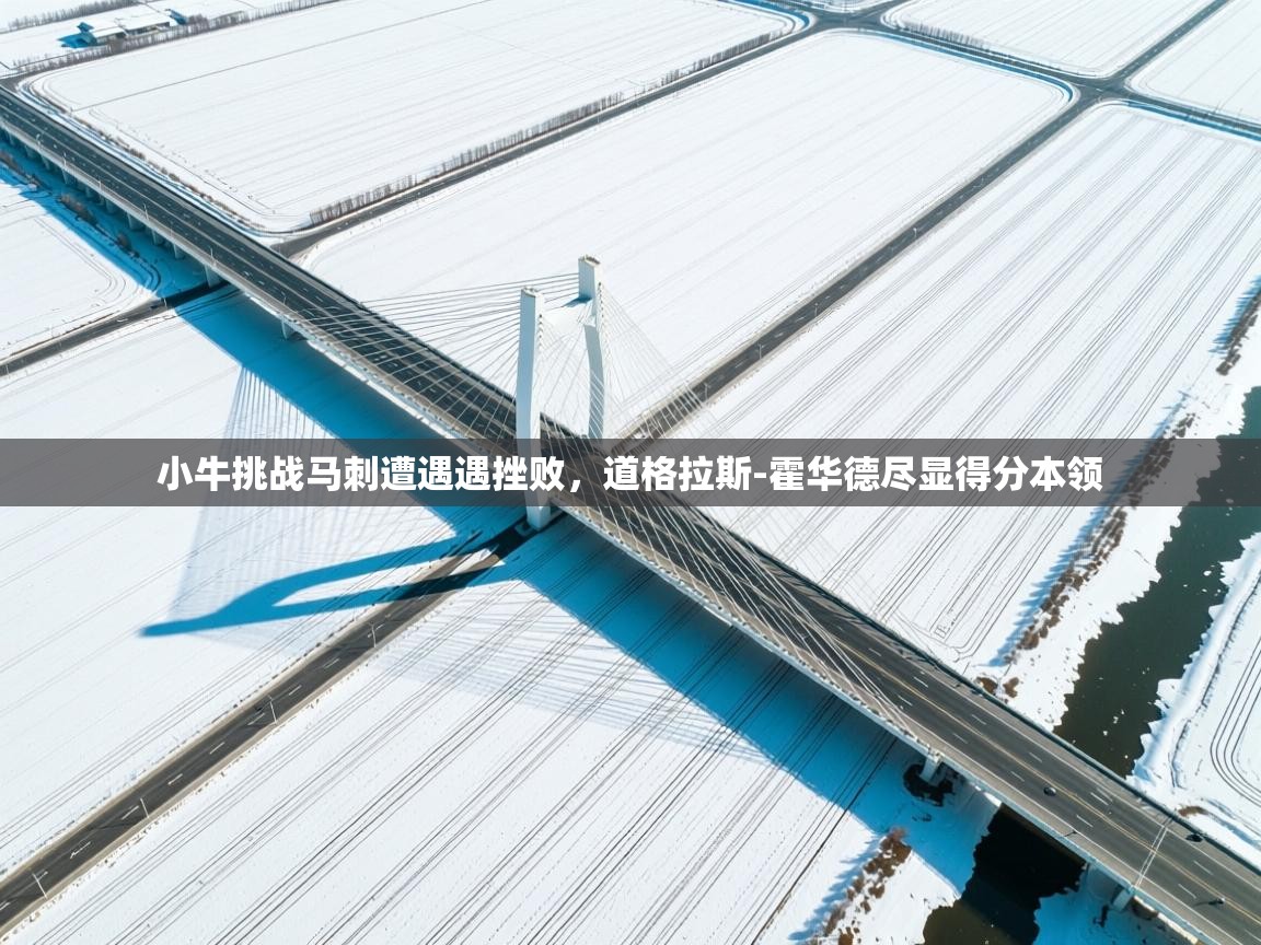 小牛挑战马刺遭遇遇挫败,道格拉斯-霍华德尽显得分本领 第1张