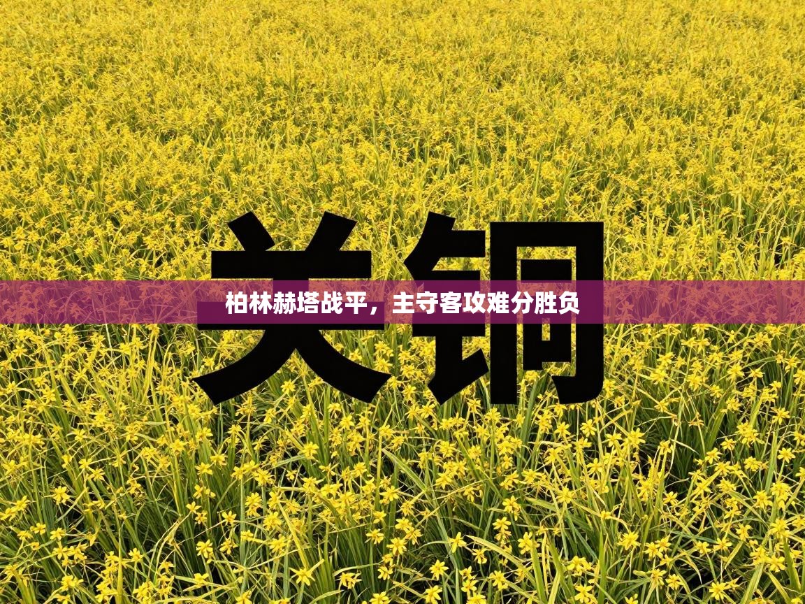 柏林赫塔战平，主守客攻难分胜负  第2张