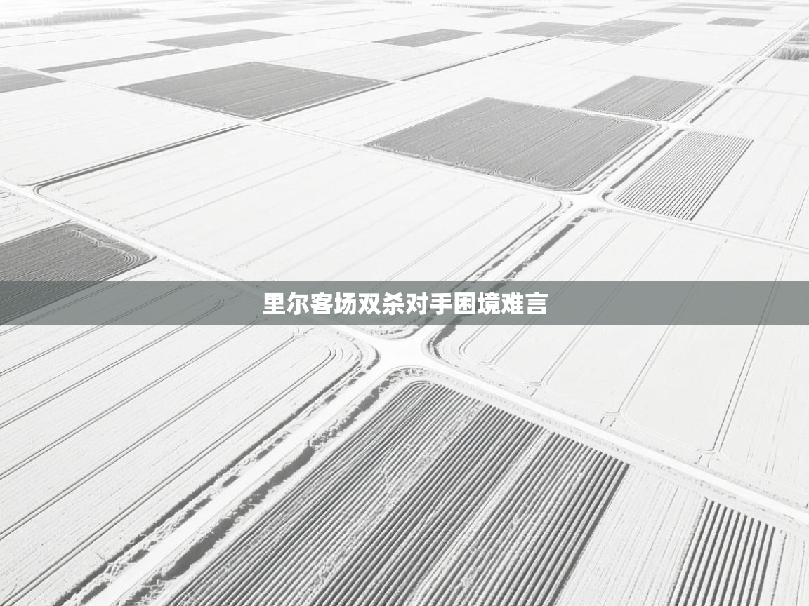 里尔客场双杀对手困境难言  第2张