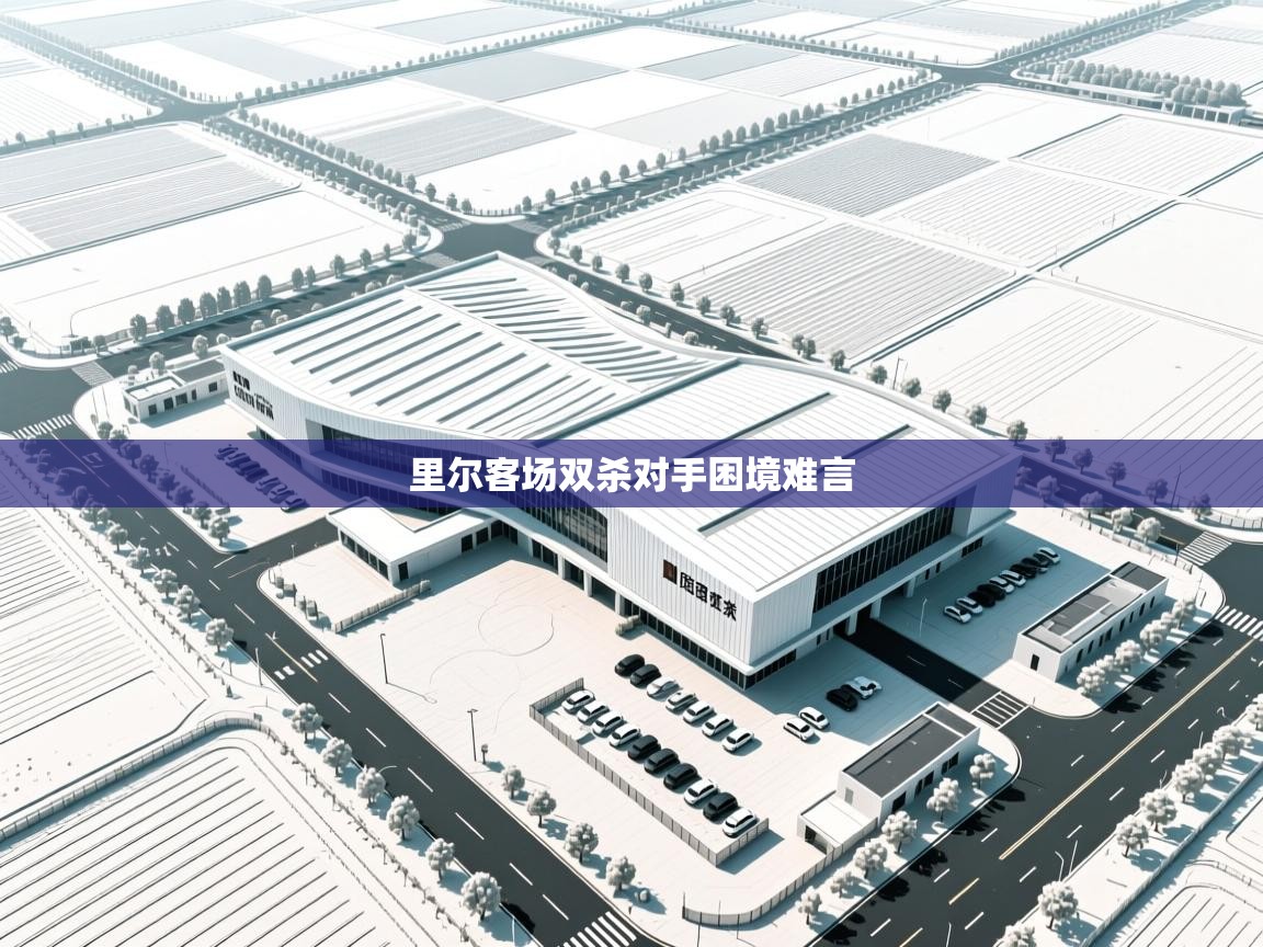 里尔客场双杀对手困境难言  第1张