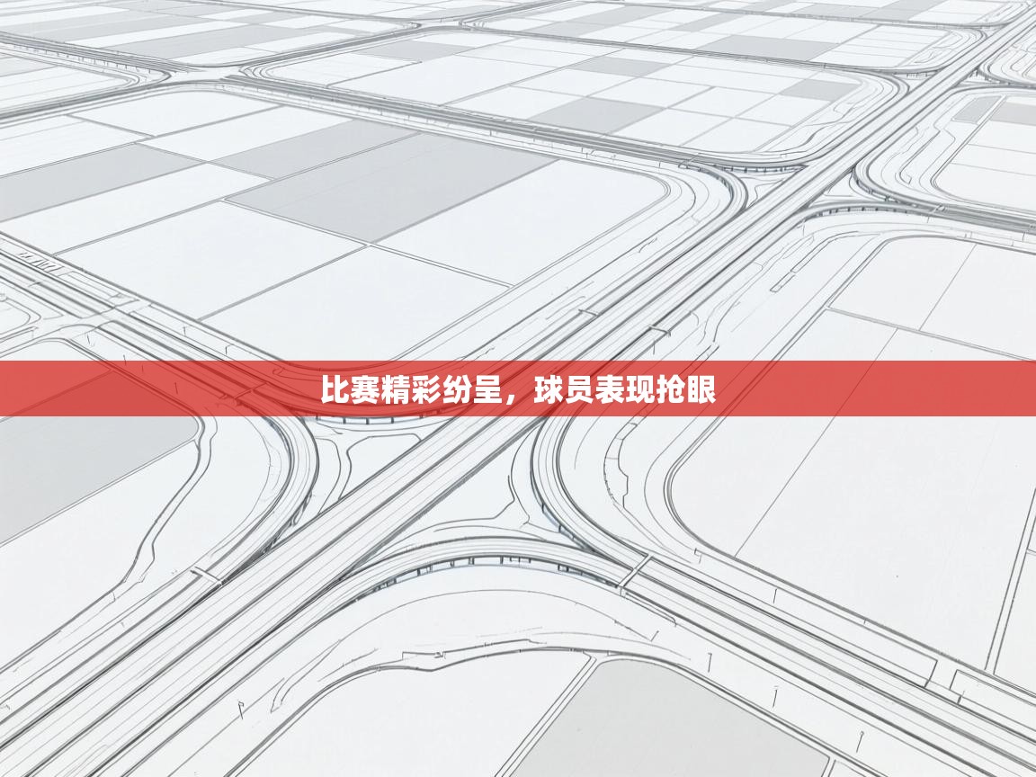 比赛精彩纷呈，球员表现抢眼  第1张