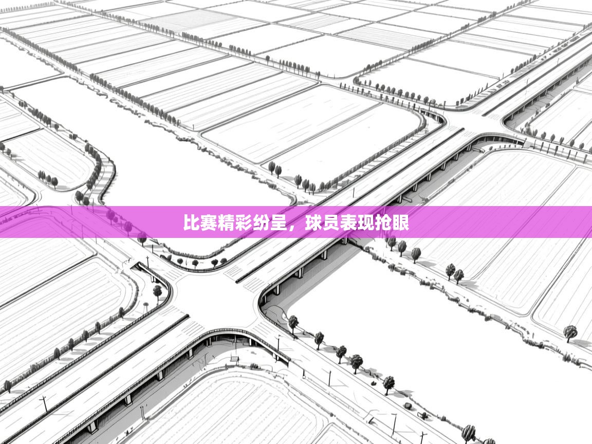 比赛精彩纷呈，球员表现抢眼  第2张