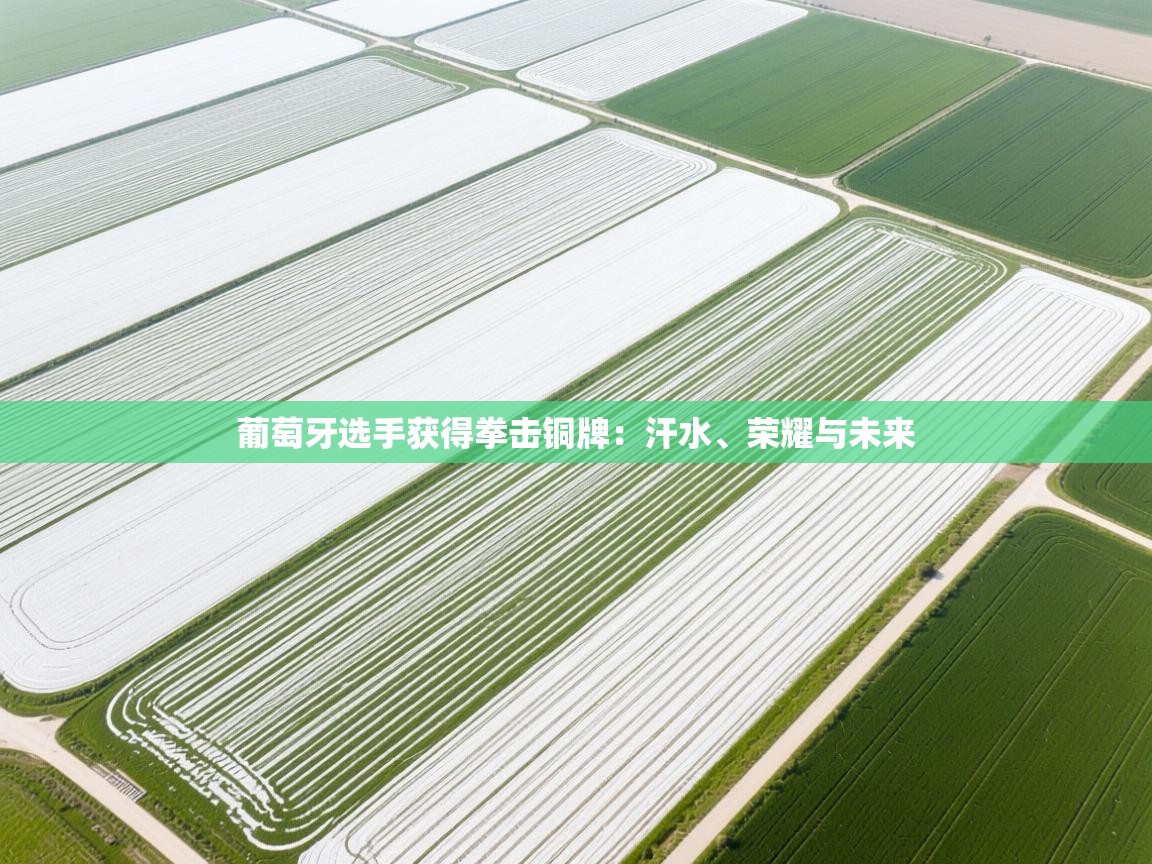 葡萄牙选手获得拳击铜牌：汗水、荣耀与未来  第1张