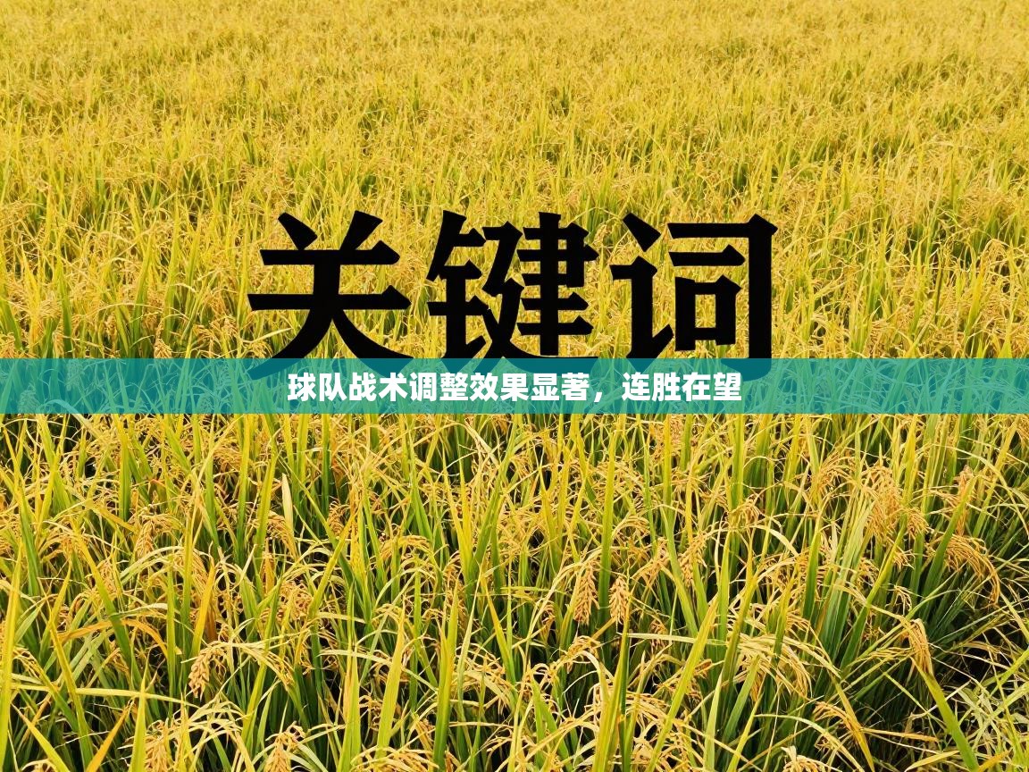 球队战术调整效果显著，连胜在望  第1张