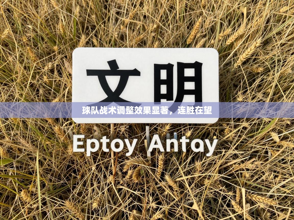 球队战术调整效果显著，连胜在望  第2张