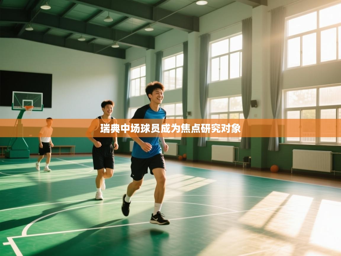 瑞典中场球员成为焦点研究对象  第1张